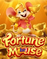 brl slots online fortune mouse